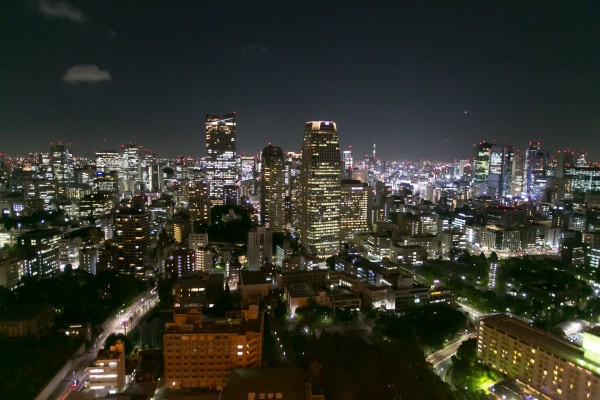 tokyo-tower-night-out-13