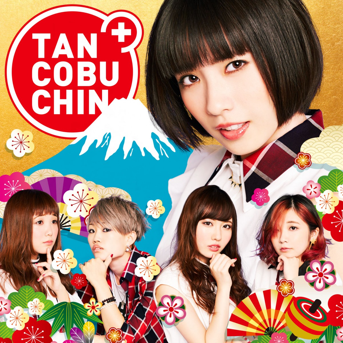 img-tankobu-chin-album-1