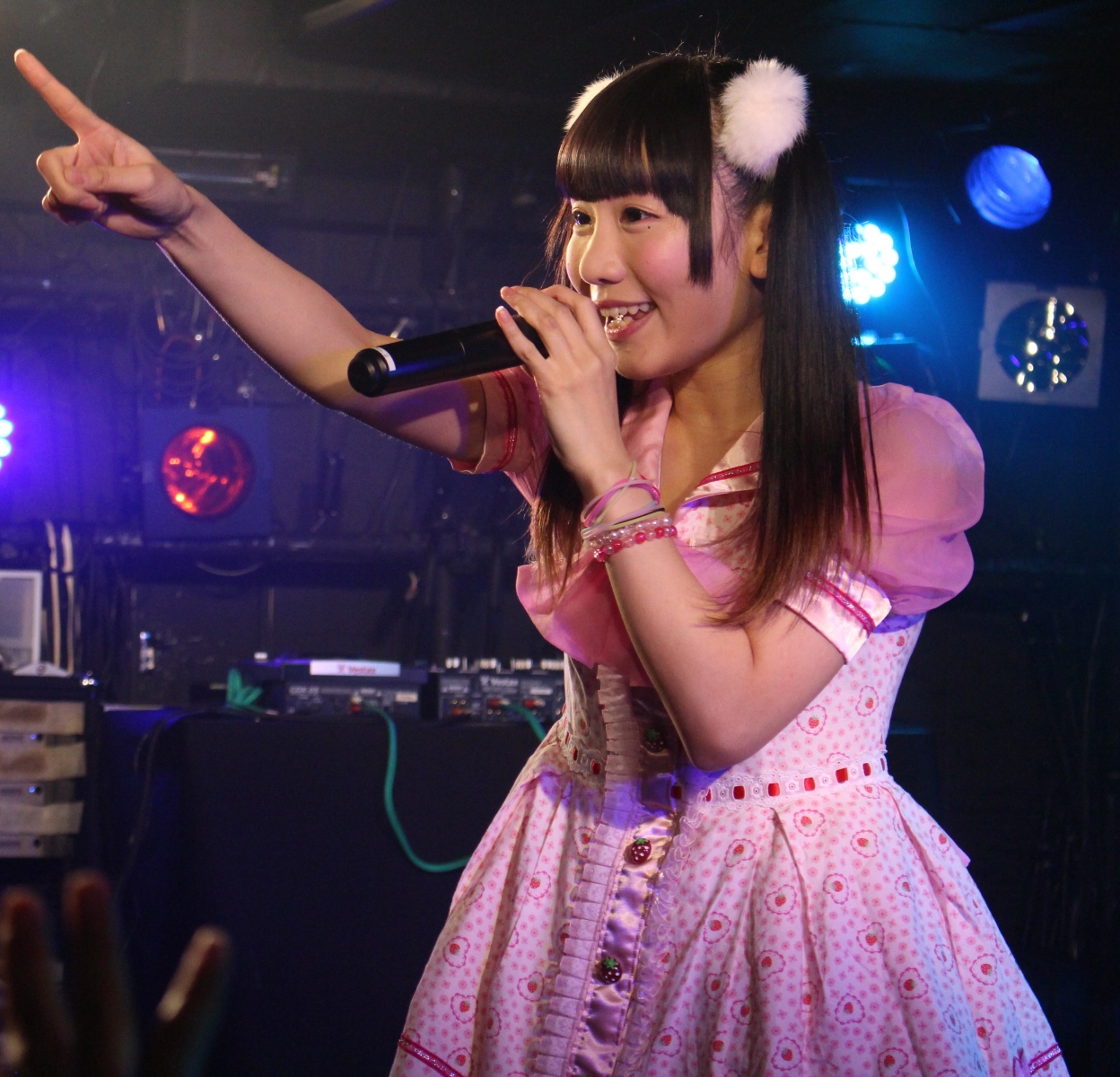 [Photo] Hamu Fes vol.2: Idols Assemble in Support of Ichigo Rinahamu ...