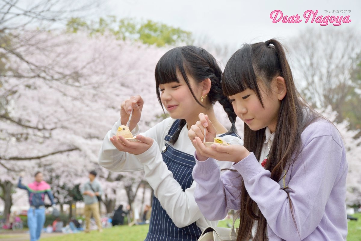 Looking Over Nagoya Castle during Hanami with DIANNA☆SWEET’s Nagoya Cochin Chick-Shaped Sweets!