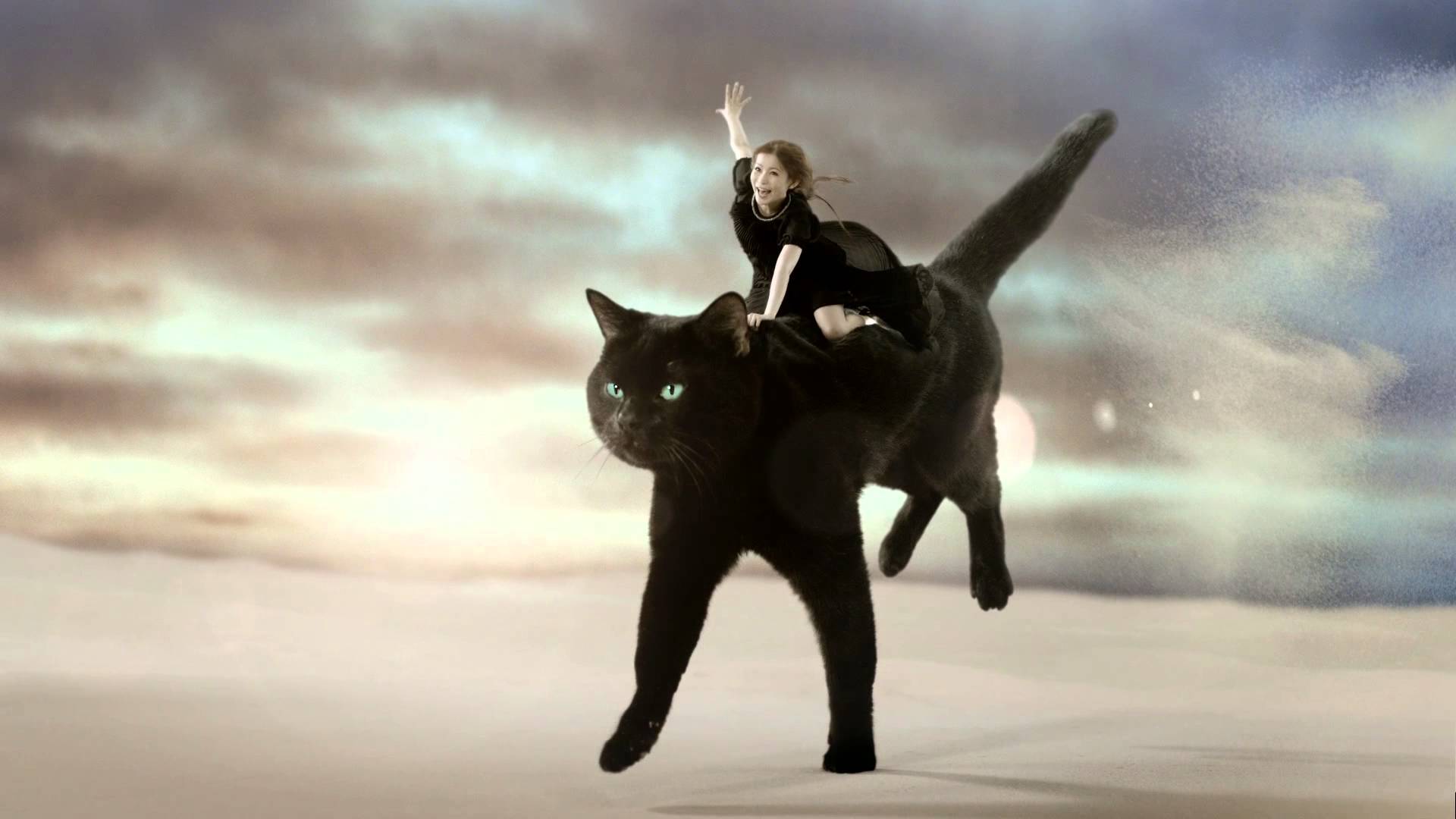 Meow, What is Going on Here? Shoko Nakagawa Rides a Black Cat in a Commercial for  Quiz RPG “Mahoutsukai to Kuroneko Wiz”!