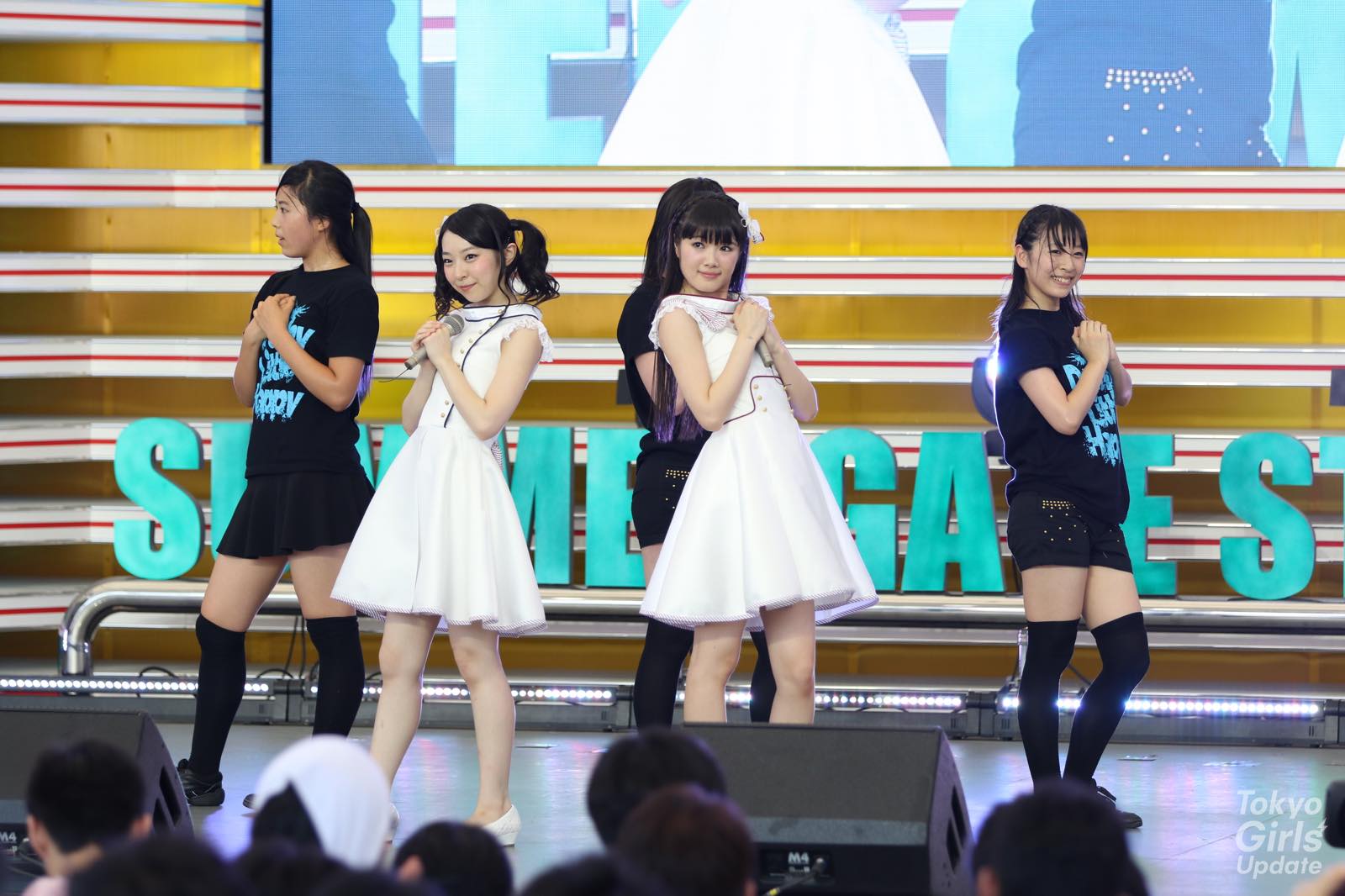 Negicco & Dorothy Little Happy: Feel-Good Groups From Tokyo Idol Festival 2015