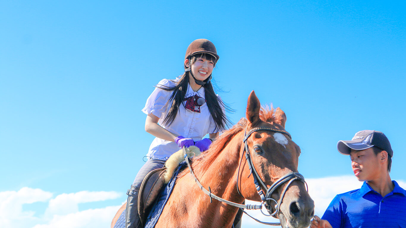 Horse Riding at CRÉER MIURA! Enjoy a Liberating Moment in Nature!