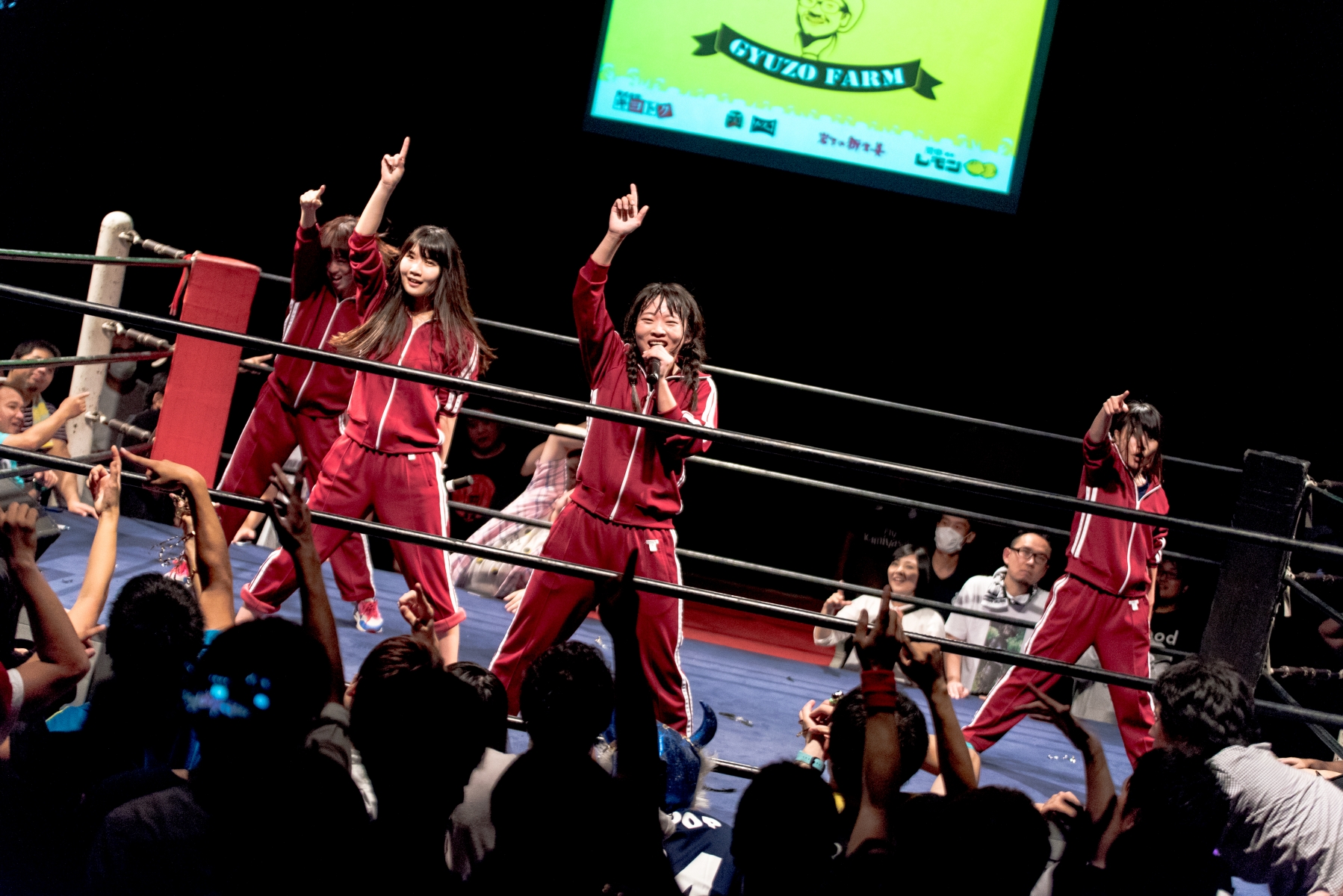 The Outbreak of Gyu-No IDOL War! Experience Pride of Pinchike! Gyu-No Fest. vol.7 Report!
