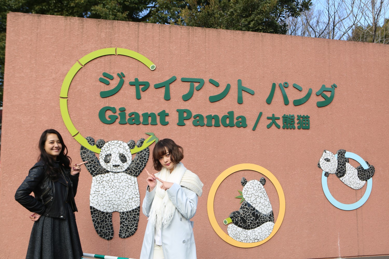 Grab Your Scoop on the Ever-Popular Sightseeing Destination in Tokyo, Ueno Zoo!