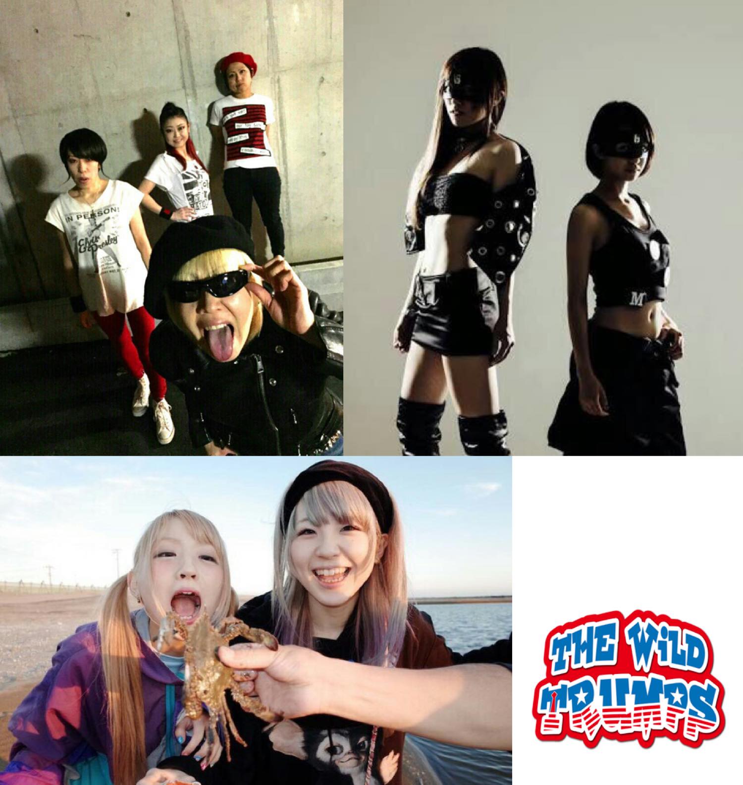 IDOL and Punk is Attitude, Not Style! Veterans & Rookies Collide for Gyu-No Fes vol. 15!