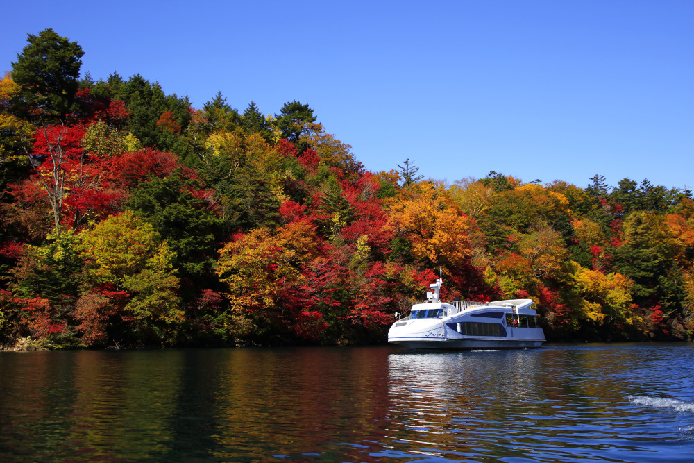 Popular & Photogenic Autumn Leaves Spots You Can Reach in Just Few Hours from Tokyo!