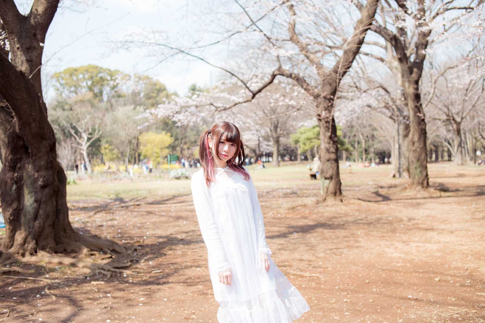 Transience of Idol : Sakura Photograph with Momonesu Chan