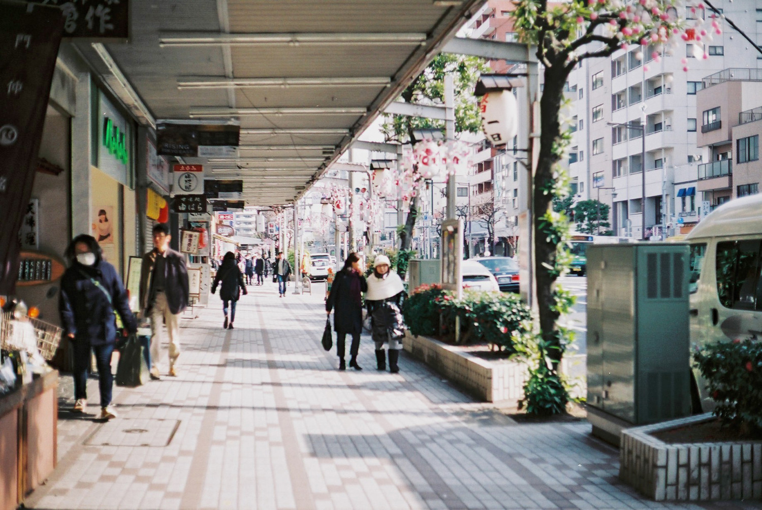 A Walk Back in Time: Visiting Tokyo’s Old Neighborhoods